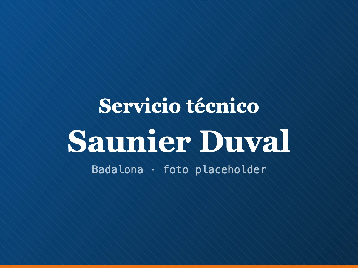 Servicio técnico de calderas Saunier Duval en Terrassa