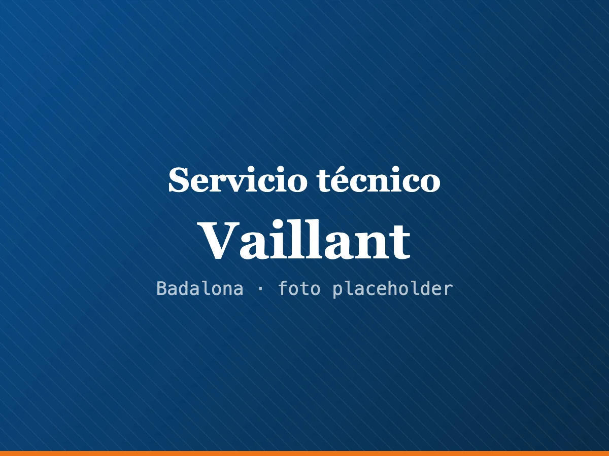 Servicio técnico de calderas Vaillant en Terrassa
